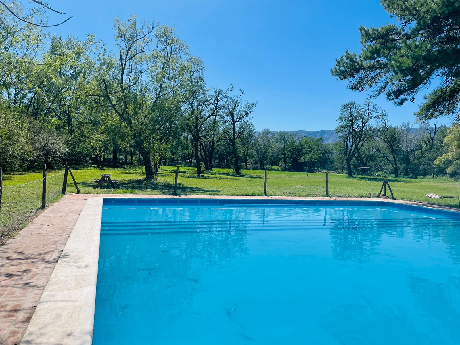 Piscina semiolímpica con solarium junto a áreas verdes.