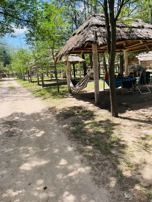 Parcelas de acampe con quinchos de paja bajo los árboles