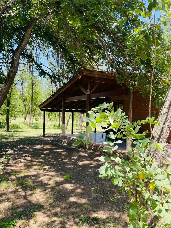Cabaña con parrilla bajo los árboles