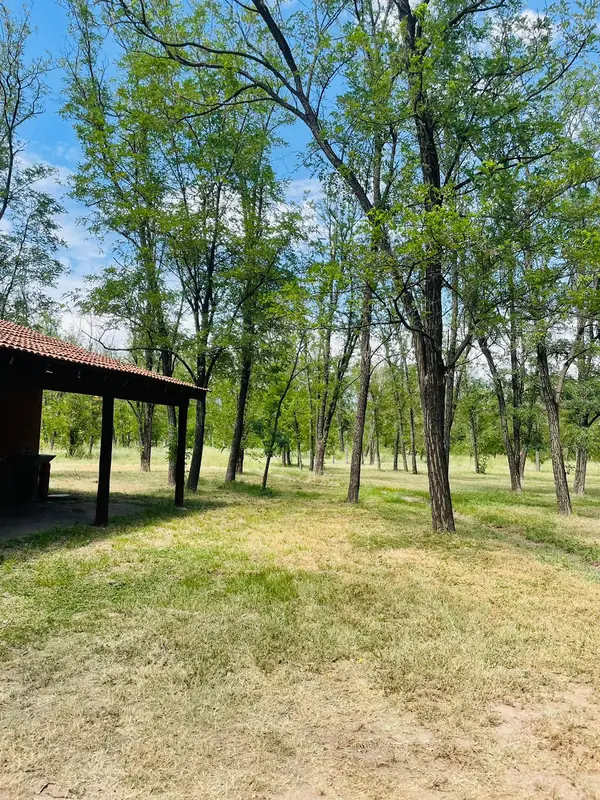 Parque arbolado del complejo con quinchos a la sombra